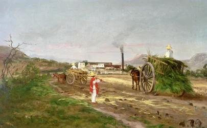 Boeren Verzamelen Suikerriet, Midden-Amerika, c.1840